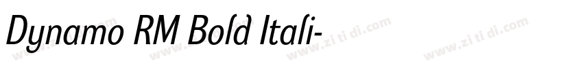 Dynamo RM Bold Itali字体转换